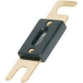 300A ANL