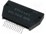 STK 5481