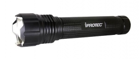 IP6308