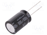 100μF / 100V