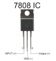 7808