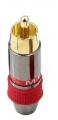 RCA GOLD RED