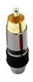 RCA GOLD WHITE