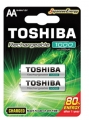 TNH-6GLE BP-2C