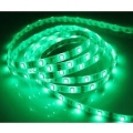 GREEN 4.8W