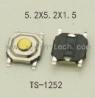 TS-1252