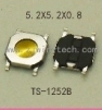 TS-1252B