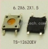 TS-1262CEV