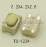TS-1234