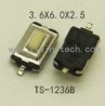 TS-1236B