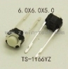 TS-1166YZ