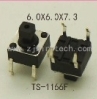 TS-1166S